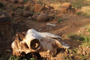 31966552164_b24c7a6252_k