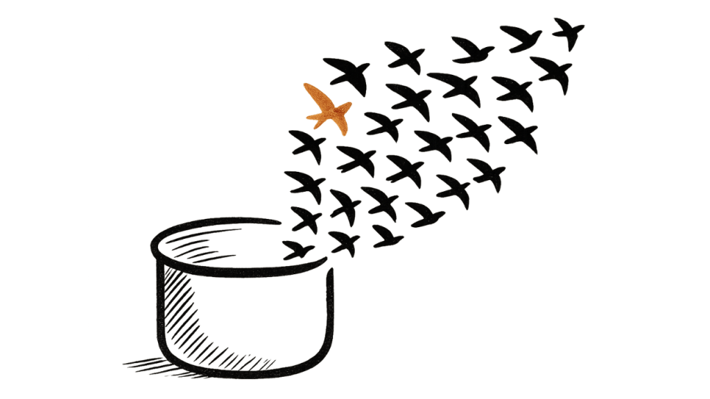 Frog, Pot, Bird, Flock